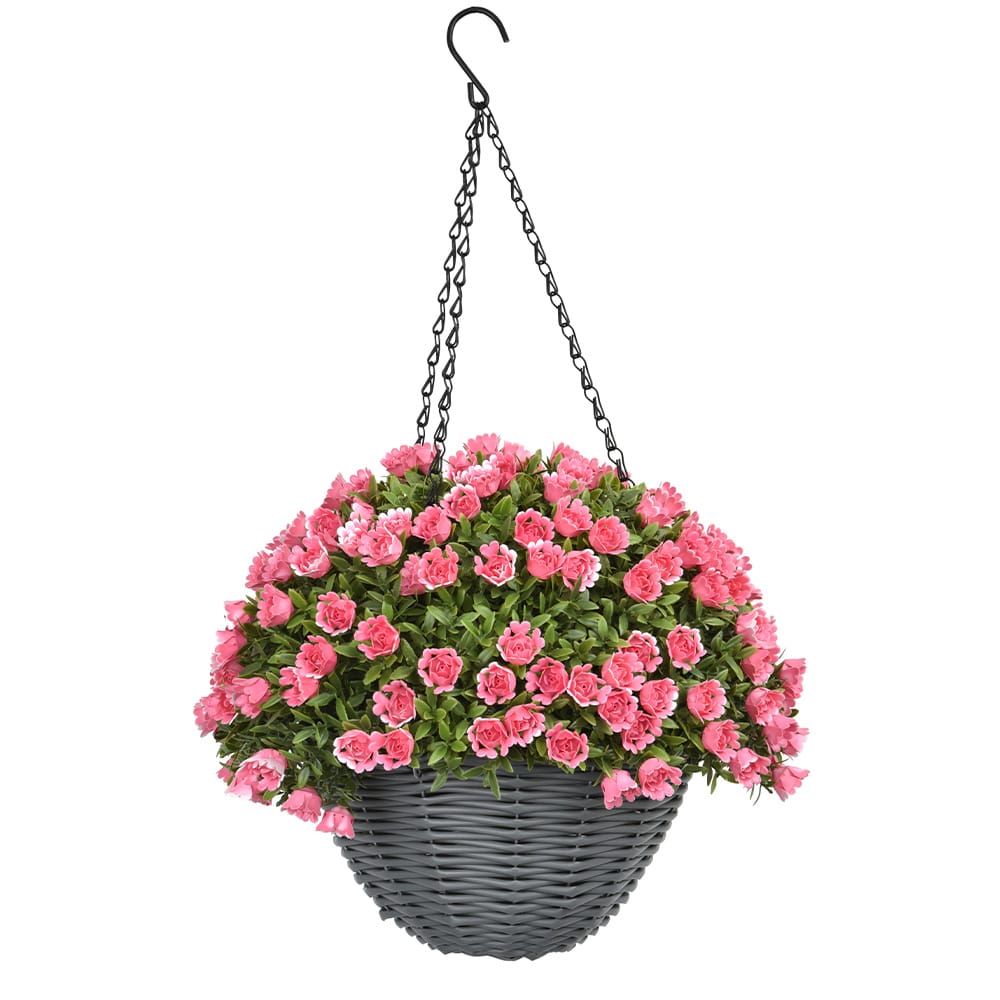 Aptenia Rose Hanging Basket