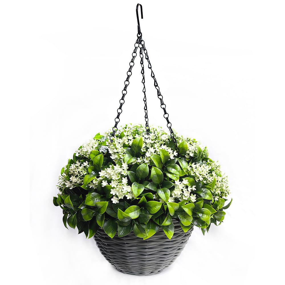 Gardenia Hanging Basket