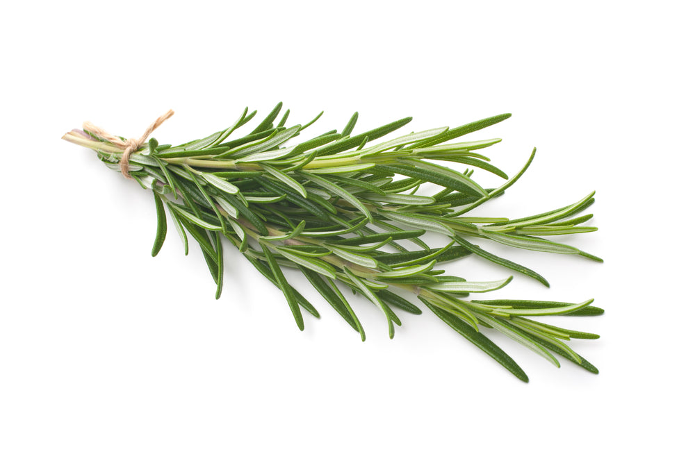 Rosemary (100g)