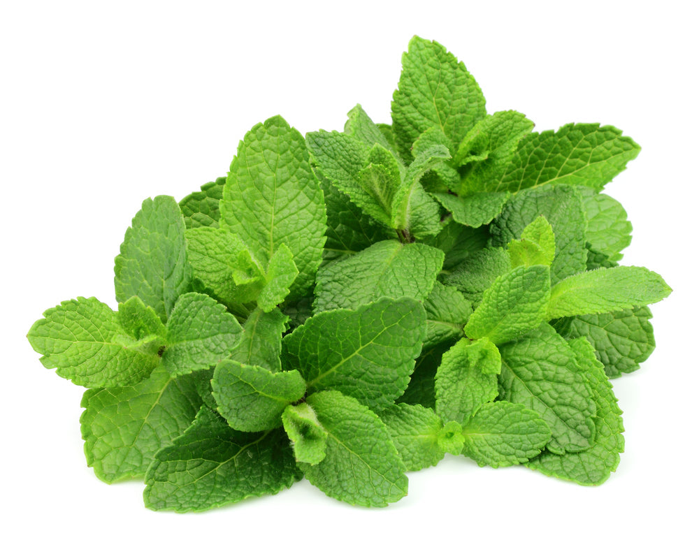 Mint (100g)