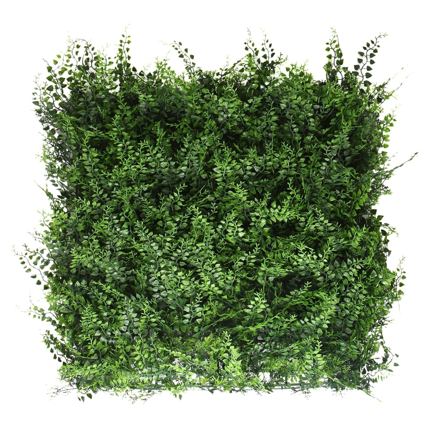 Fern Artificial Hedge