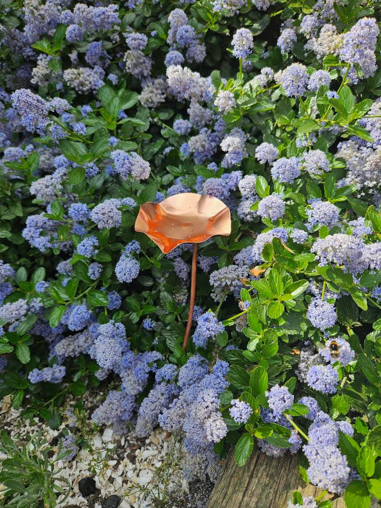 5 x Copper Bee Drinker Bundle
