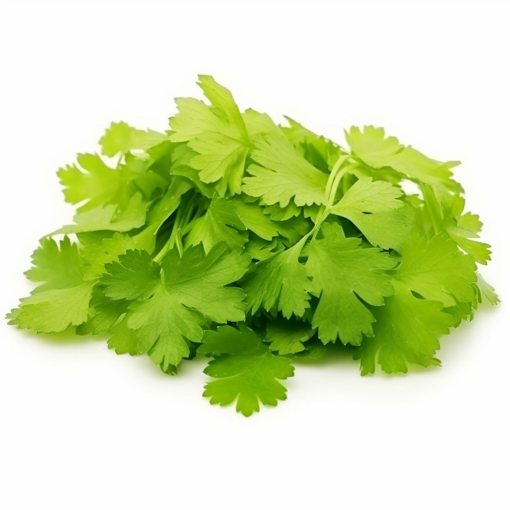 Micro Celery (30g)