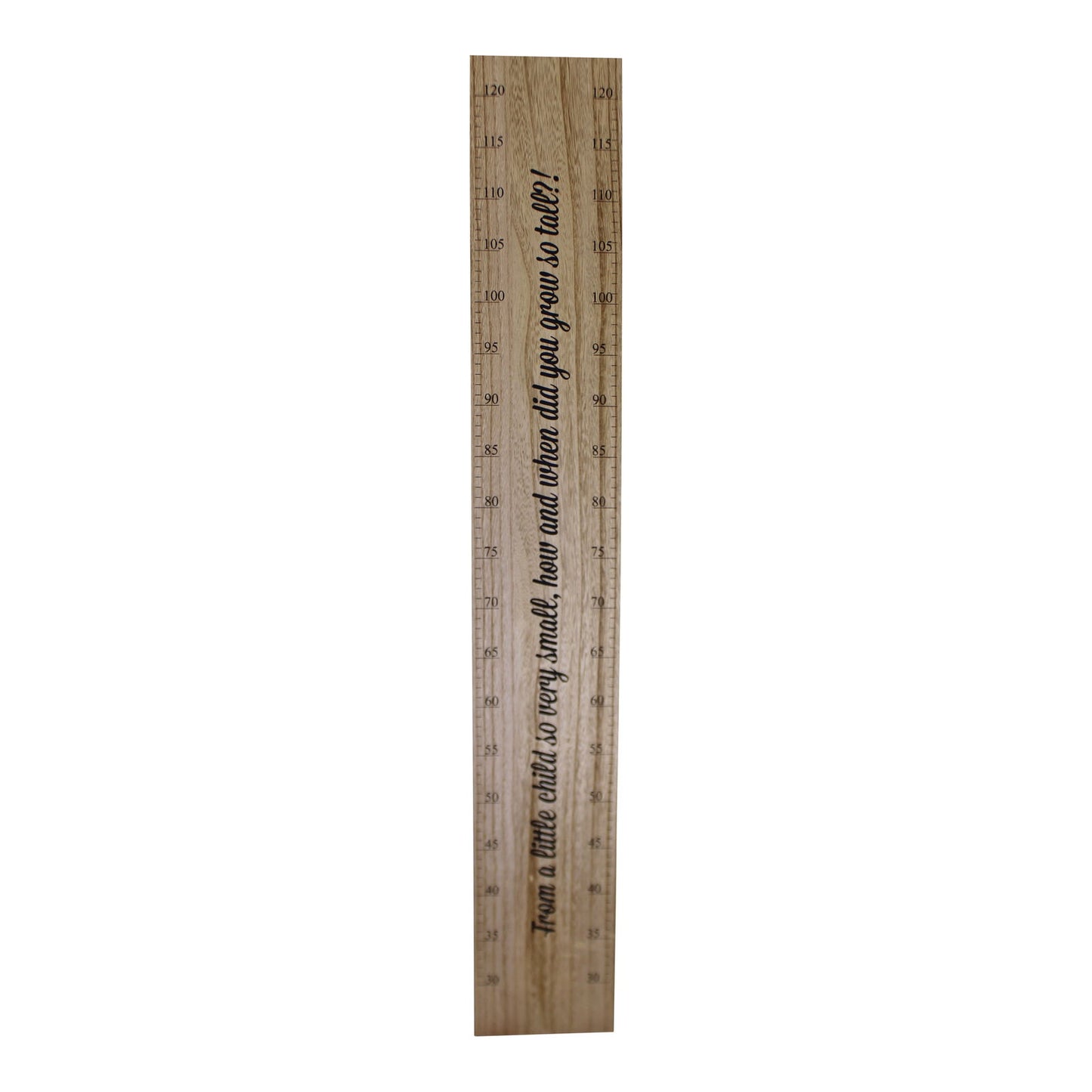 Height Chart Wall Plaque, How Did You Grow So Tall?, 100cm