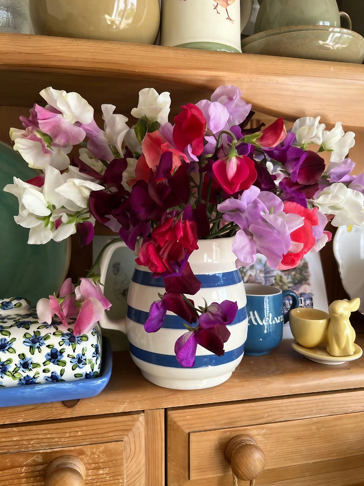 Sweet Pea Bishy Barnabee Mix