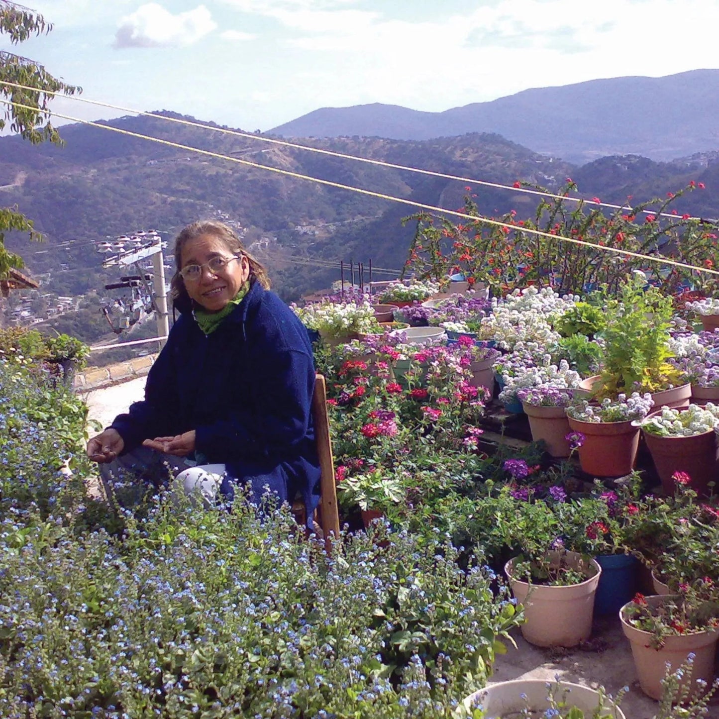 Sterling Silver Adjustable Daisy Flower Ring | Handmade Real Flowers