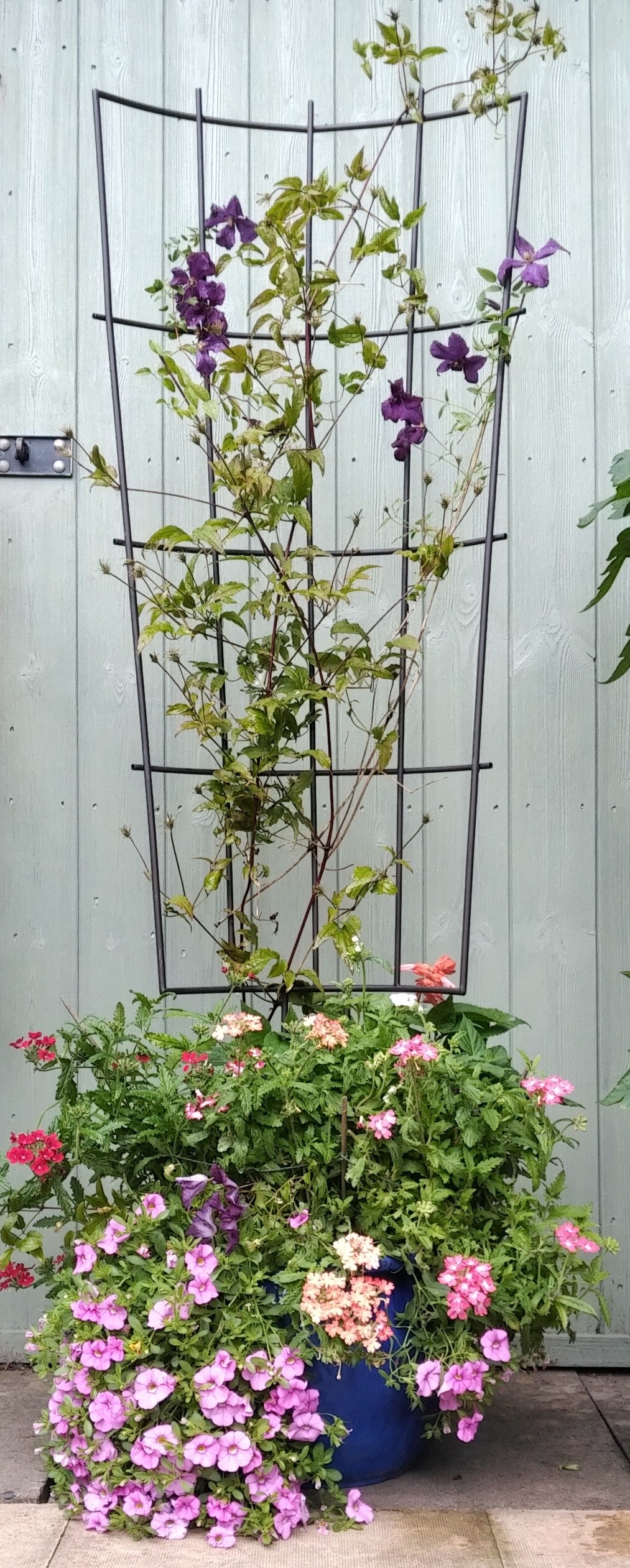 Pot Trellis Black Metal
