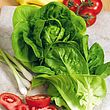 Lettuce Seeds