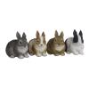 Dwarf Rabbit