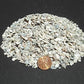 OYSTER SHELL MEDIUM for poultry