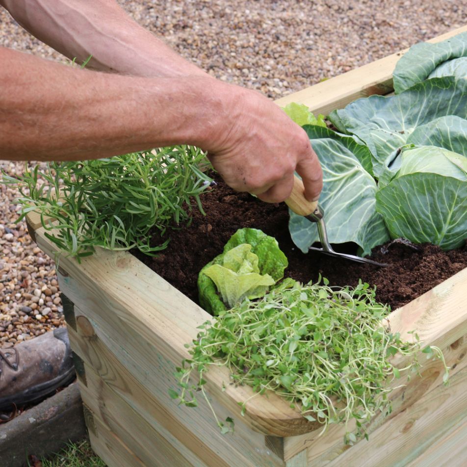 Narrow Sleeper Raised Bed