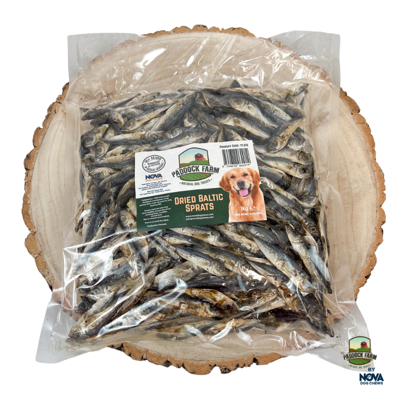 Baltic Sprats 1KG