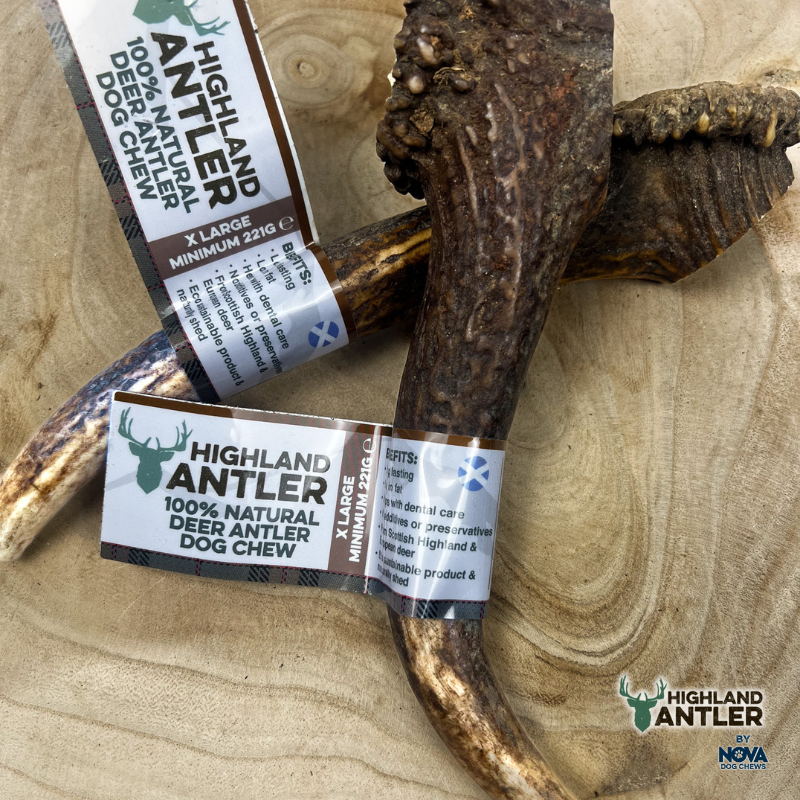 Antler