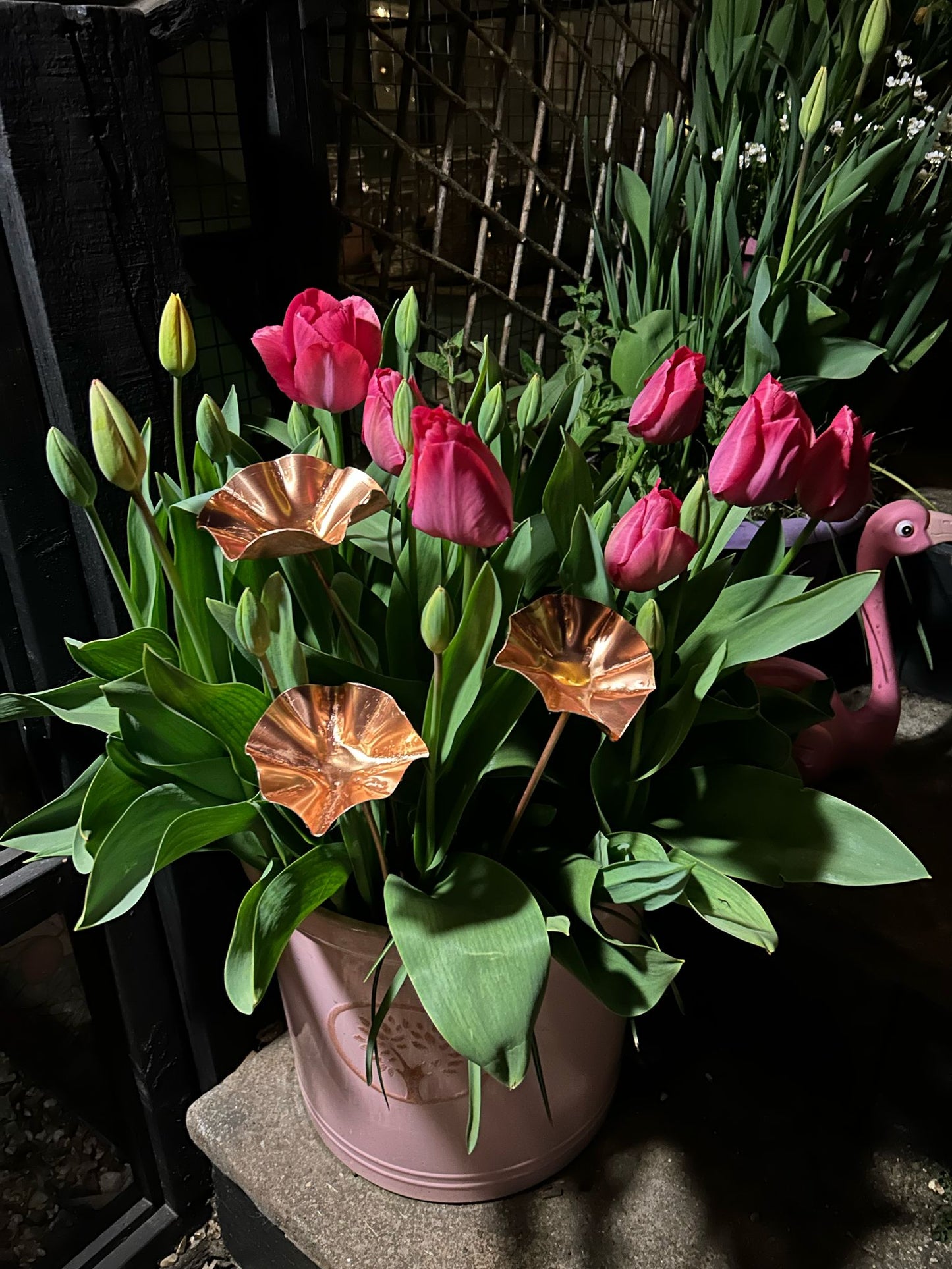 5 x Copper Bee Drinker Bundle