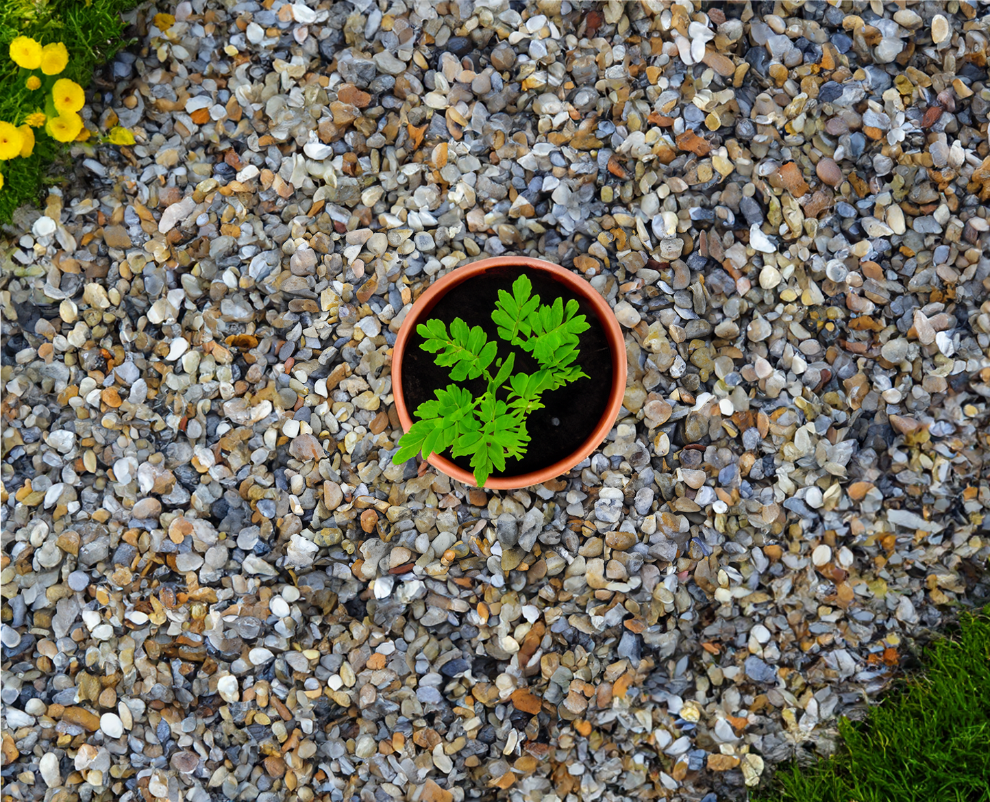 20mm Moonstone Flint Gravel Chippings