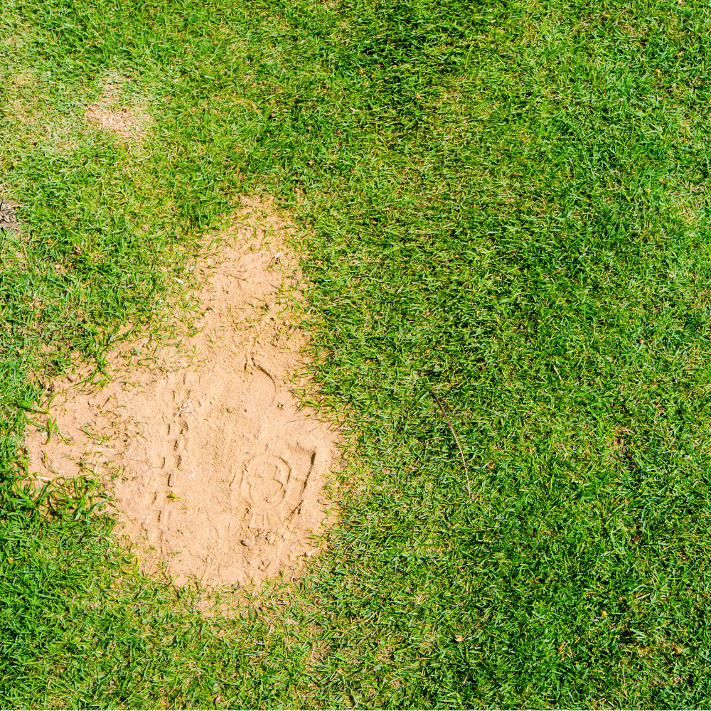 Horticultural Silica Sand