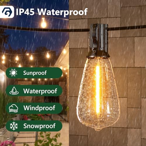 Festoon Lights Outdoor 100FT/30M, Warm White ST38 Garden Lights, Waterproof Outdoor Light Mains Powered with 50+2 Plastic LED Bulbs, Led String Light for Patio Balcony Party Wedding