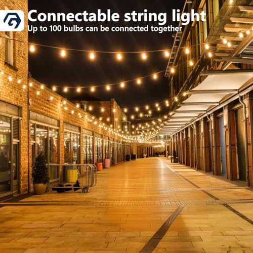 Festoon Lights Outdoor 100FT/30M, Warm White ST38 Garden Lights, Waterproof Outdoor Light Mains Powered with 50+2 Plastic LED Bulbs, Led String Light for Patio Balcony Party Wedding