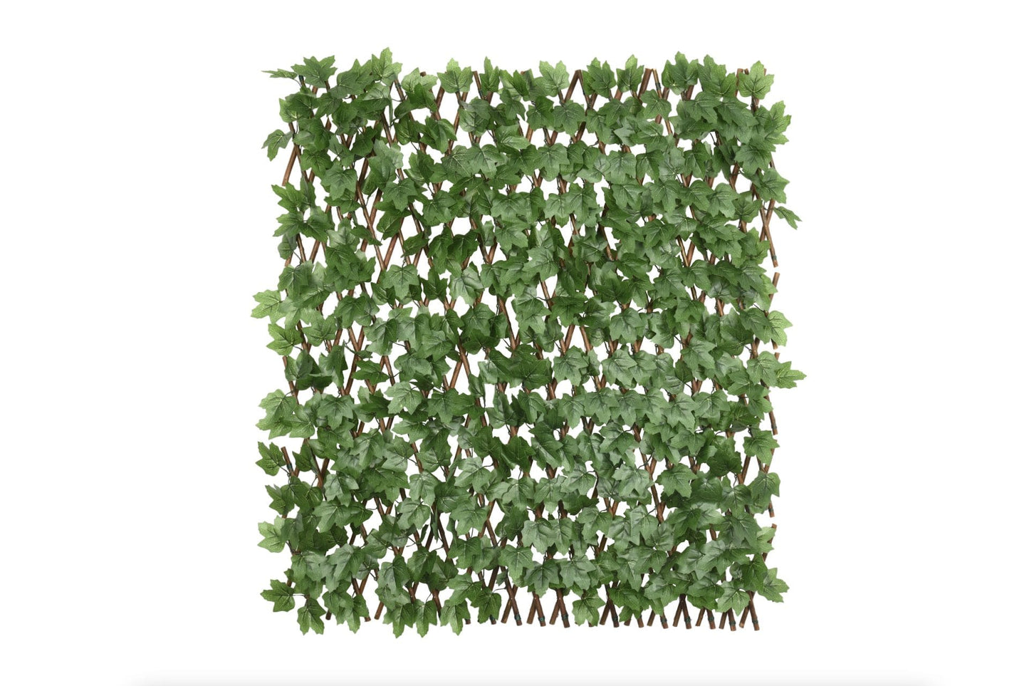 Boston Ivy Willow Expandable Trellis Fence - 90cm x 180cm