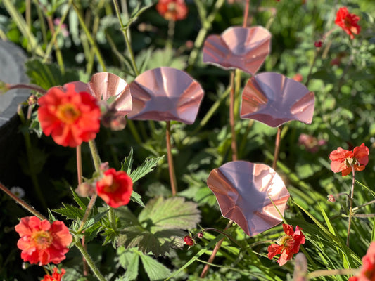 5 x Copper Bee Drinker Bundle