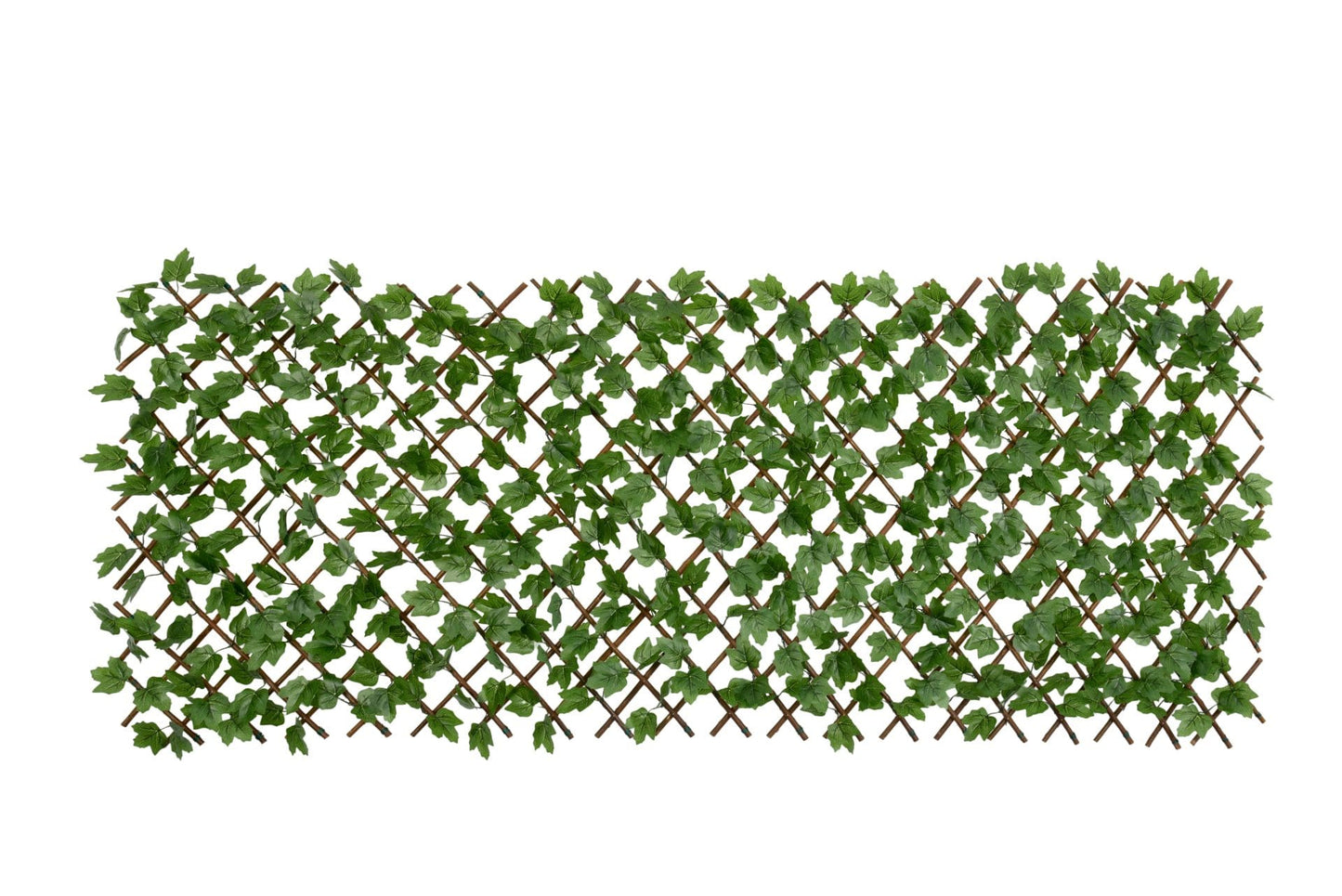 Boston Ivy Willow Expandable Trellis Fence - 90cm x 180cm
