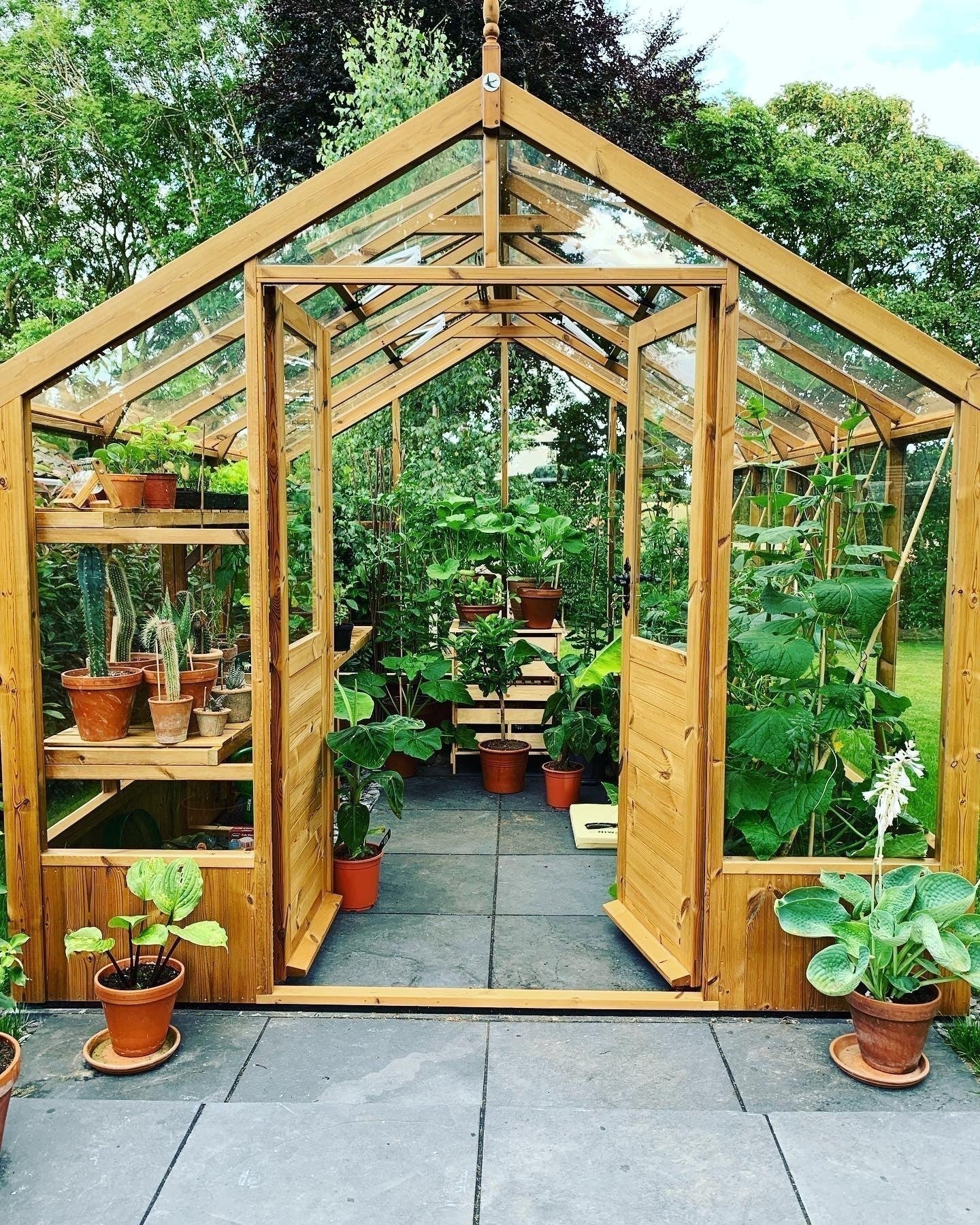 Raven Wooden Greenhouse 8'9x16'9