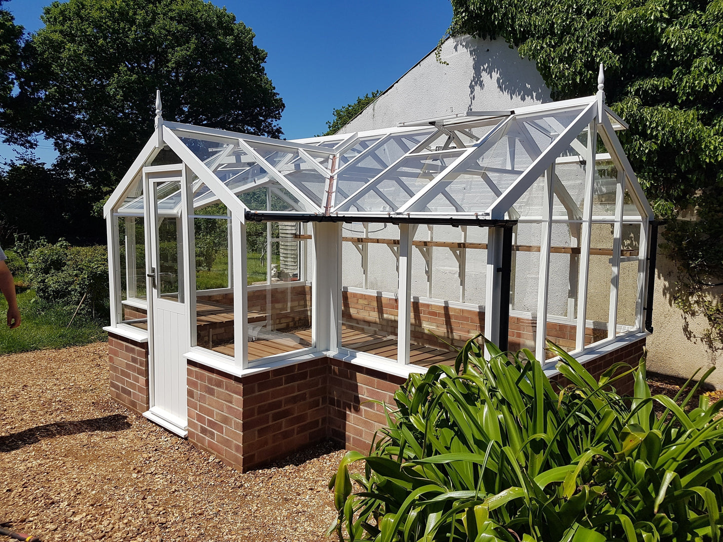 Mallard Greenhouse 8'9 x 20'0