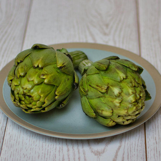 Artichoke Plug Plants "Grow Your Own" Vegetables 'Ready to Plant Now' Young Vegetable Plants **Letterbox Friendly**