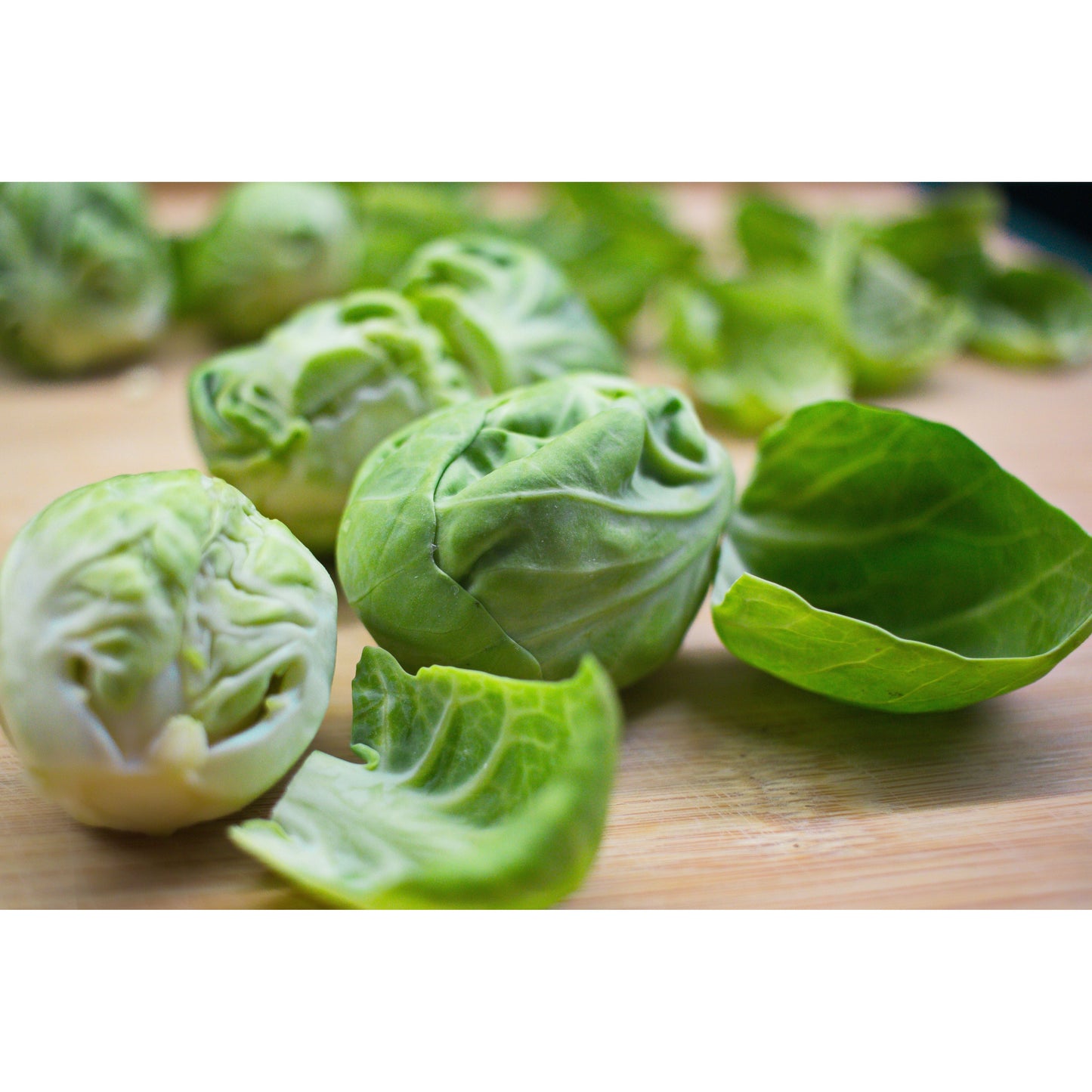 Brussels Sprout Plug Plants "Grow Your Own" Vegetables **Letterbox Friendly**