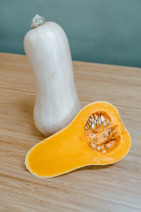Butternut Squash Plug Plants "Grow Your Own" Fruit 'Ready to Plant Now' Young Vegetable Plants **Letterbox Friendly**
