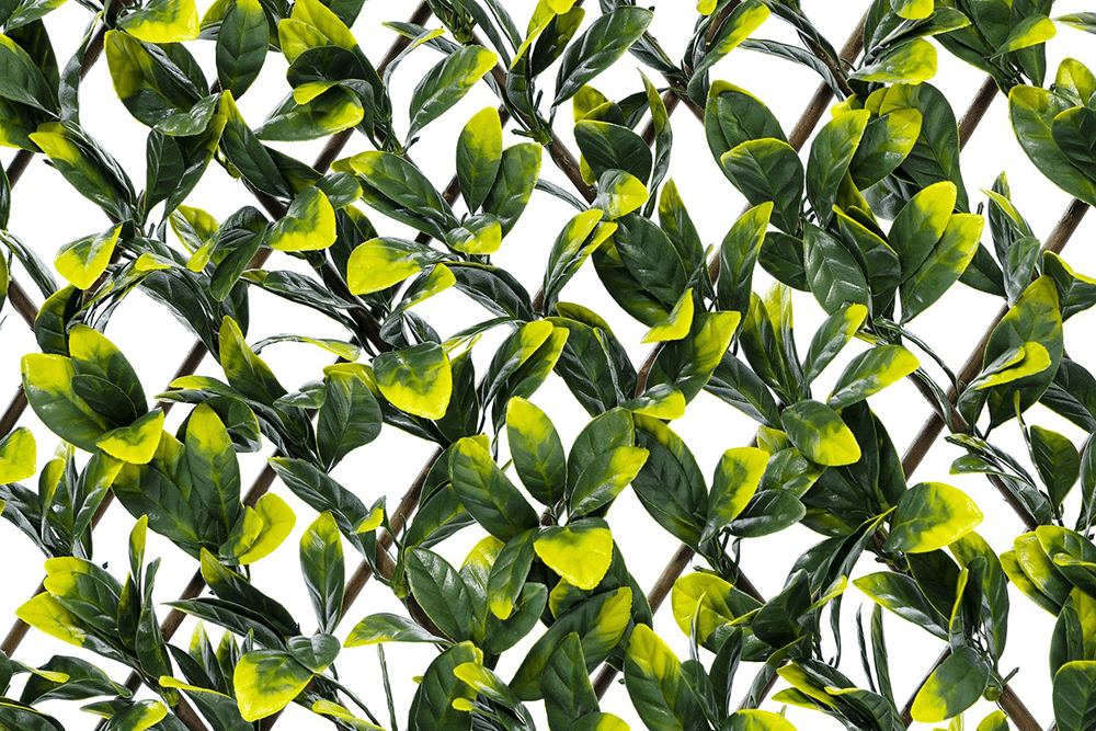 Laurel Willow Expandable Trellis Fence - 90cm x 180cm