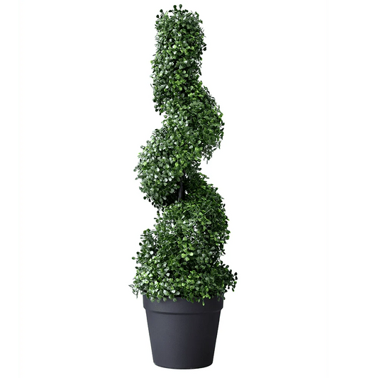 Boxwood Spiral Tree 85cm