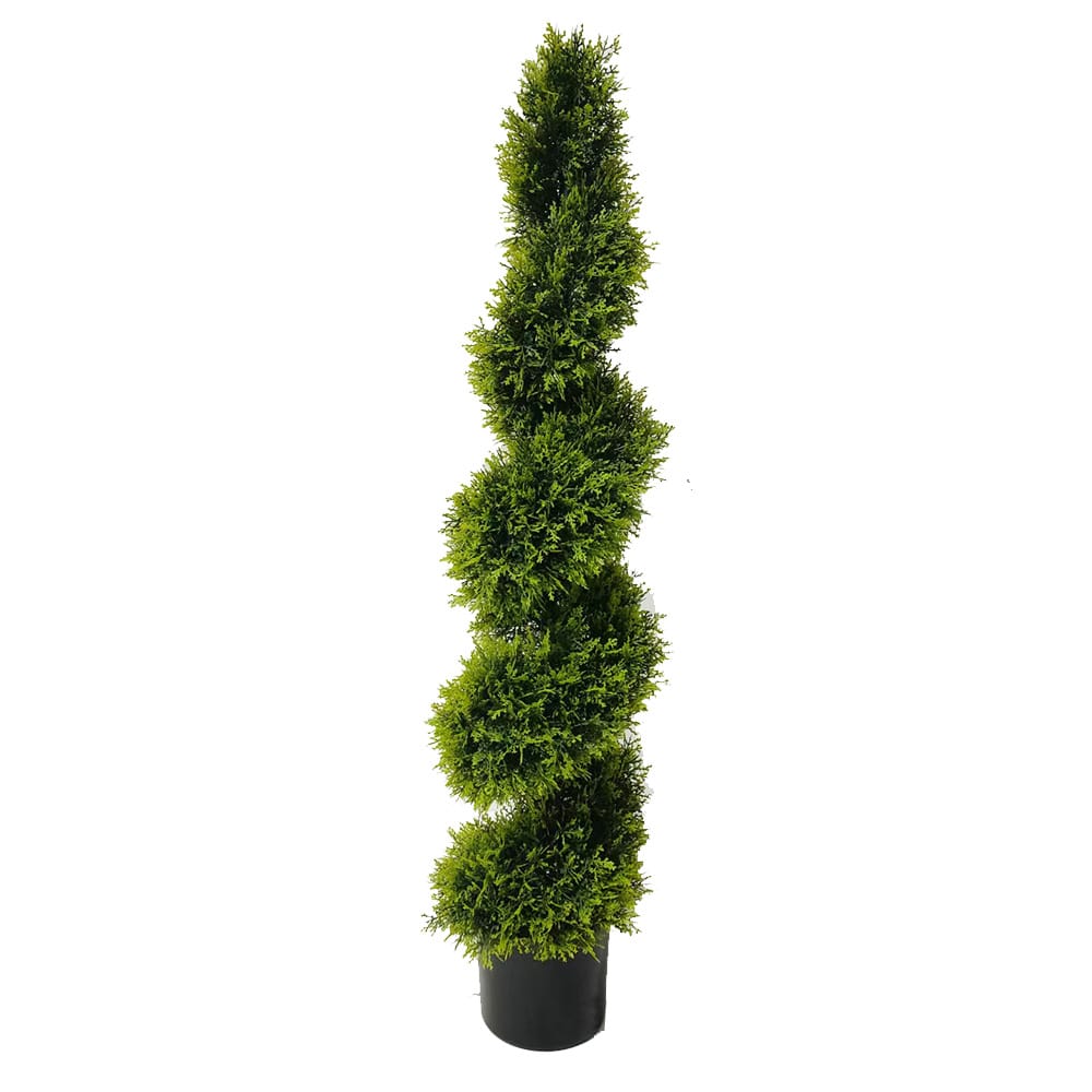 Cypress Spiral Tree 120cm