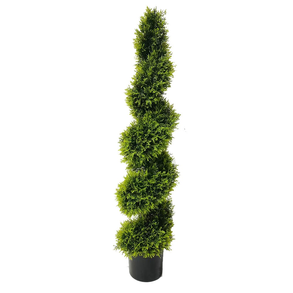 Cypress Spiral Tree 120cm