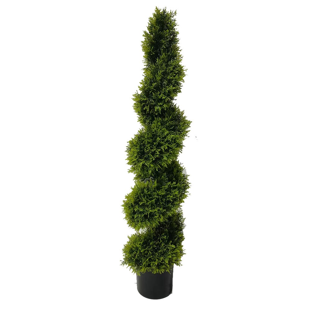 Cypress Spiral Tree 120cm