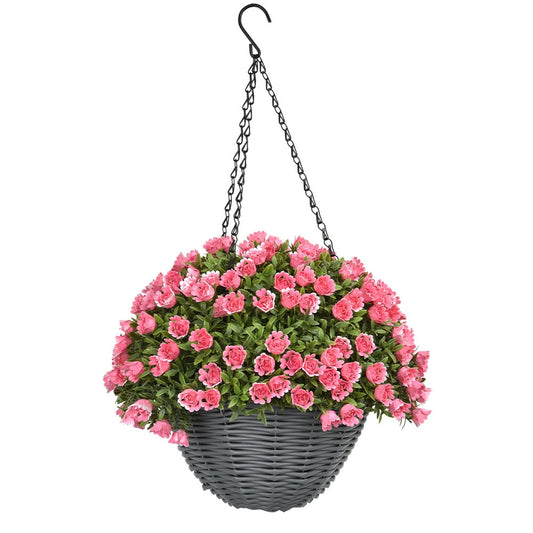 Aptenia Rose Hanging Basket