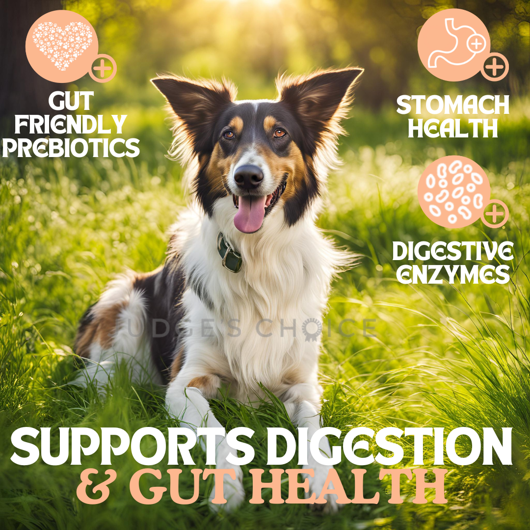 Country Pursuit Cold Pressed Chicken & Sweet Potato - 200g Sample