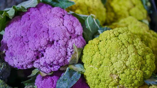 Cauliflower Plug Plants MIXED PACK "Grow Your Own" Vegetables 'Ready to Plant Now' Young Vegetable Plants **Letterbox Friendly**
