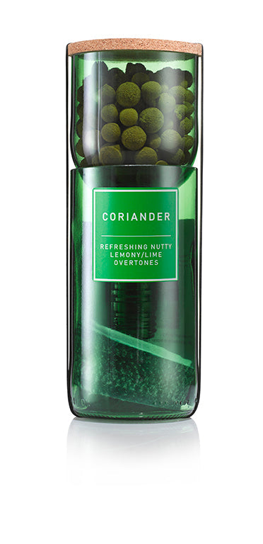 Coriander