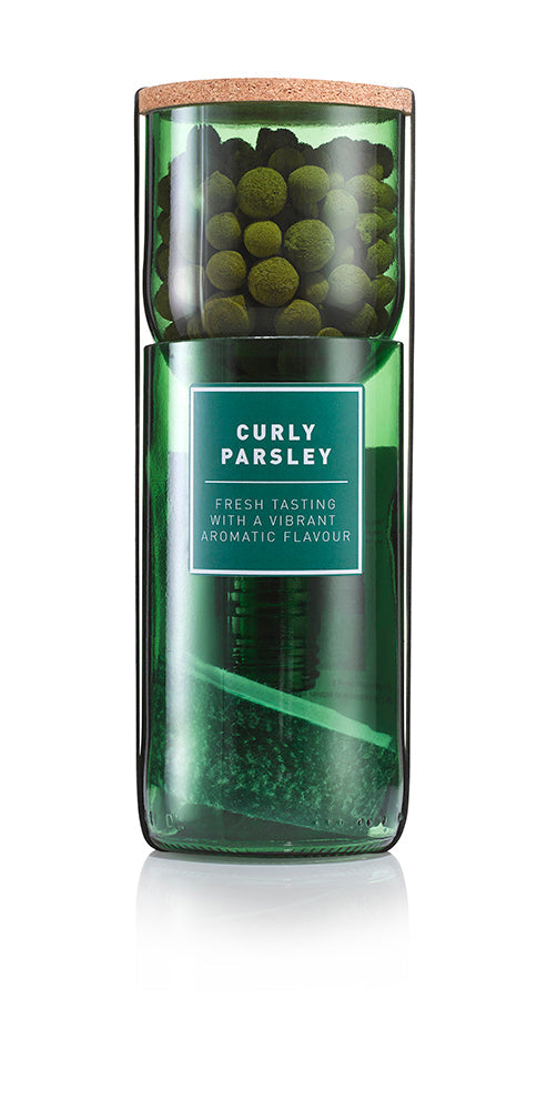 Curly Parsley