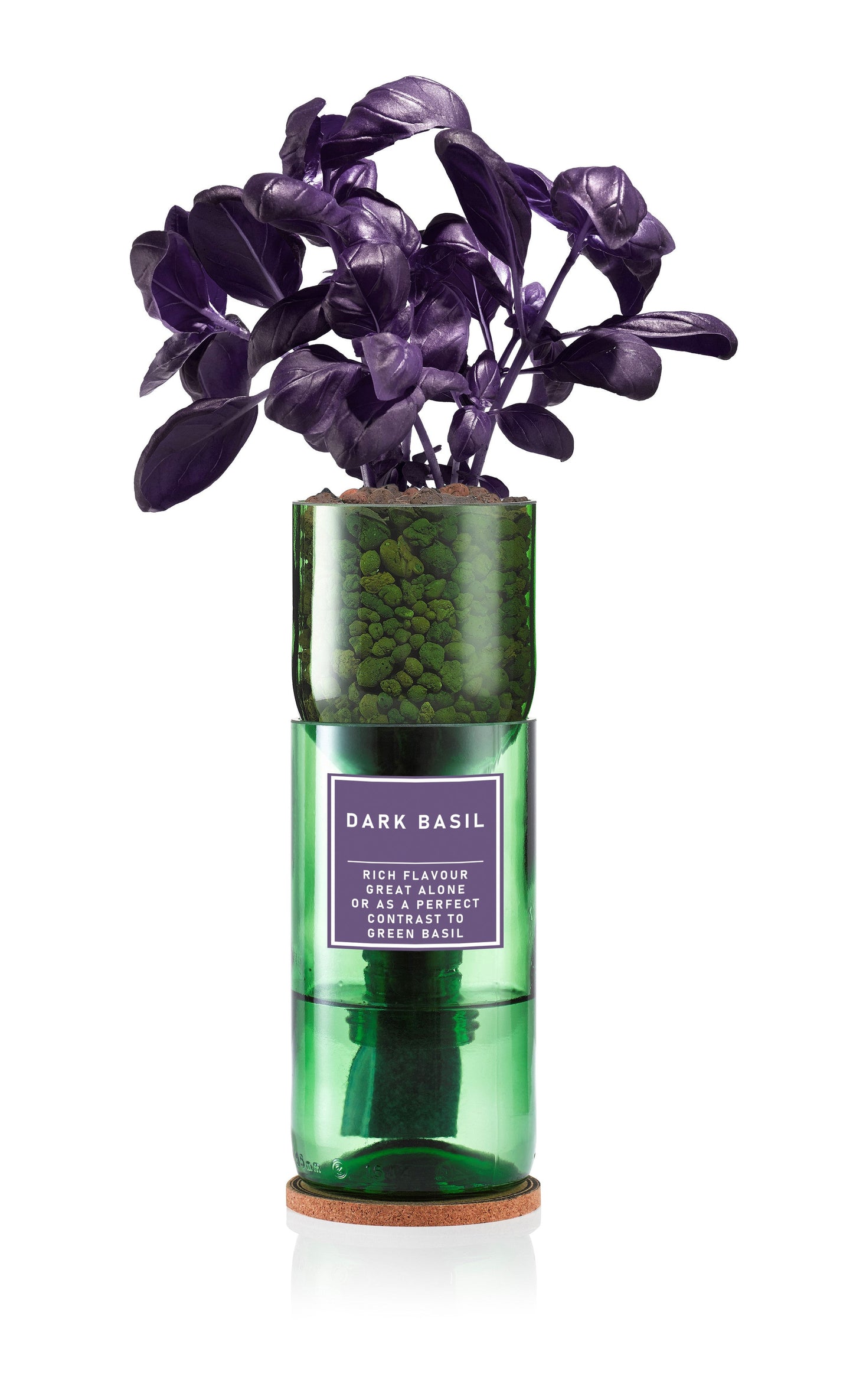 Dark Basil (Purple)