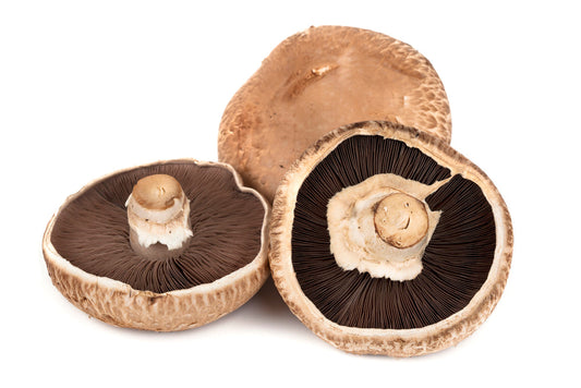 Portobello Mushroom (Twin Pack)