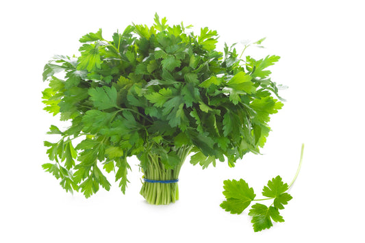 Parsley Flat Leaf (250g)