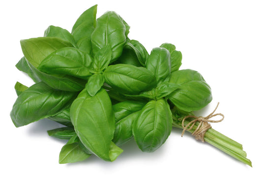 Basil (100g)
