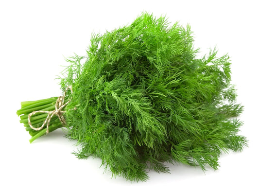 Dill (100g)