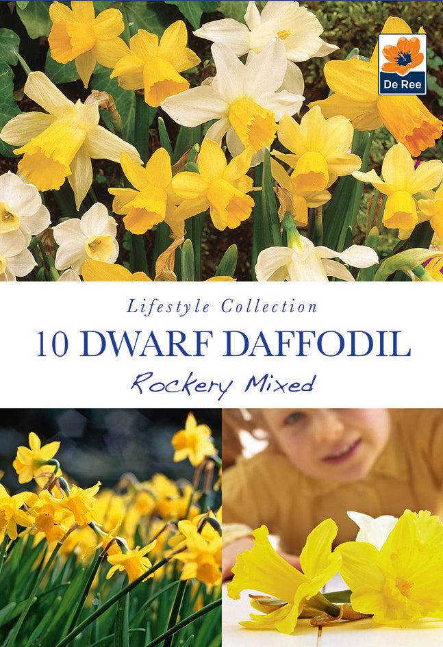 Dwarf Daffodil 'Rockery Mixed'(10 Bulbs) - Woodmeadow Garden Centre