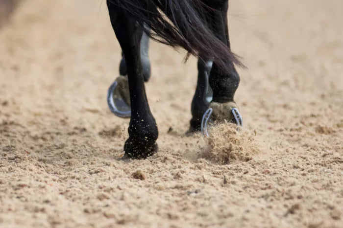 Equestrian Sand
