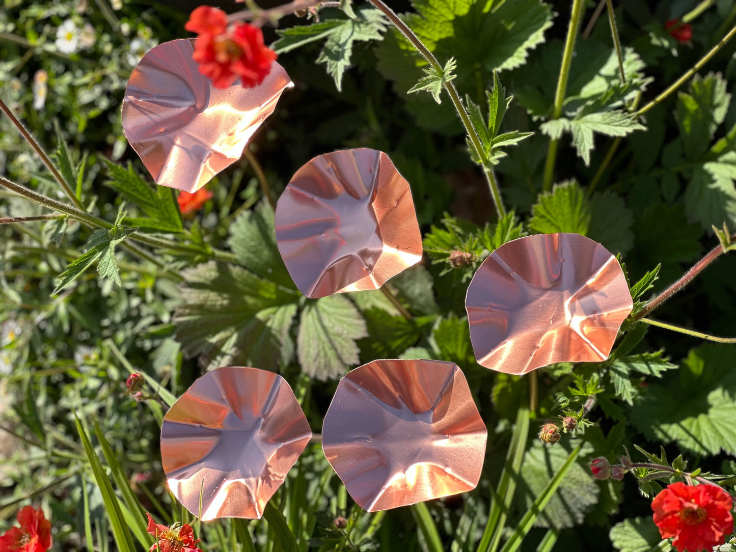 5 x Copper Bee Drinker Bundle