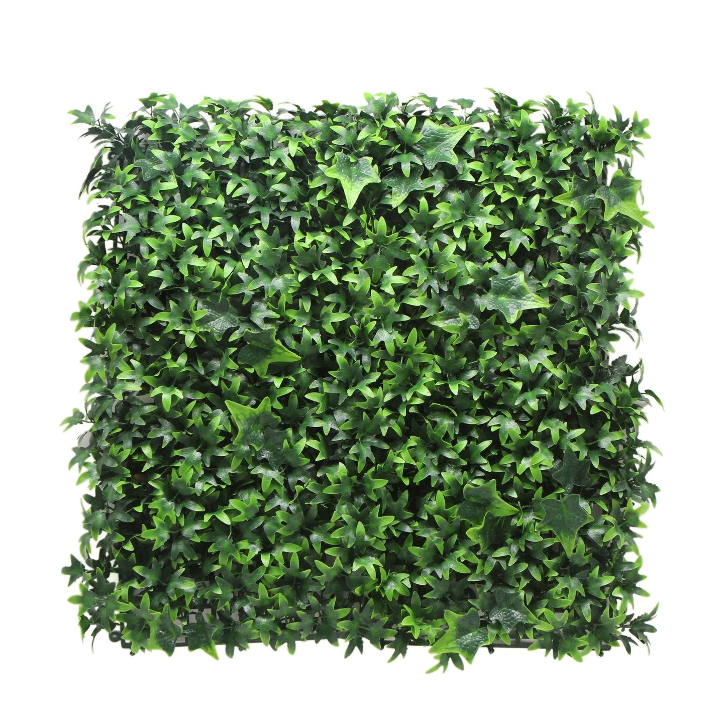 Artificial Ivy Hedge