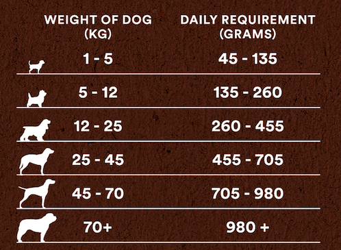 Country Pursuit Premium Lamb, Rice & Tripe - Premium Range - 300g Sample